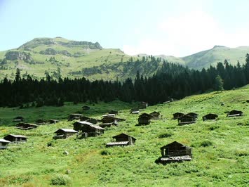 Meşeli Kışlalar
