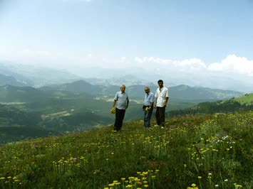 Yayla Yolundan Karagöl ve Meşeli