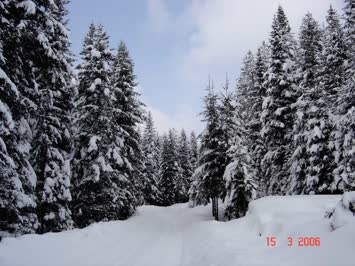 bosna hersek