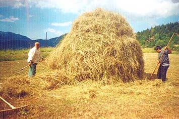 Baba ve Oğul