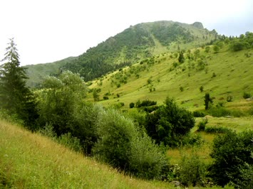 Kötetiris