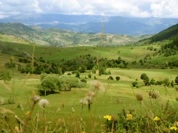 Kötetiris