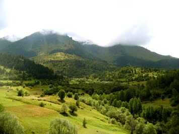 Kötetiris