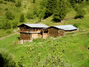 midalin evi