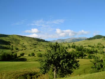 Kötetiris