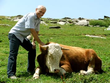 Meşeli’nin Yaylasında Enis Yeter Tosunu Severken