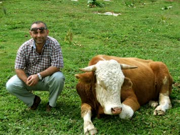 Veli Temiz Tosunla Poz Verirken