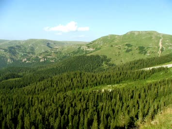 Sahara’dan Manzaralar