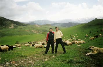 şavul yoncalı  köyü