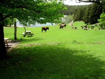 Karagölde Bahar