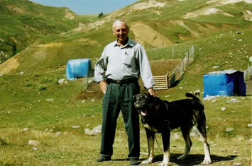 Arsiyan 2004