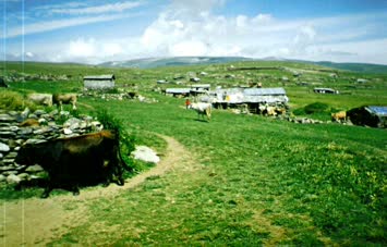 CENKELEK HATIRASI