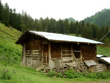 Kocabey - Burcu Özgül