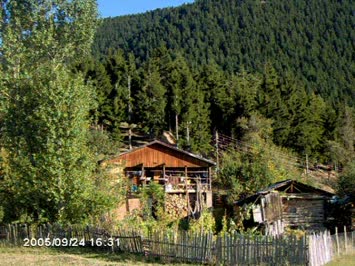 Özbay Işık