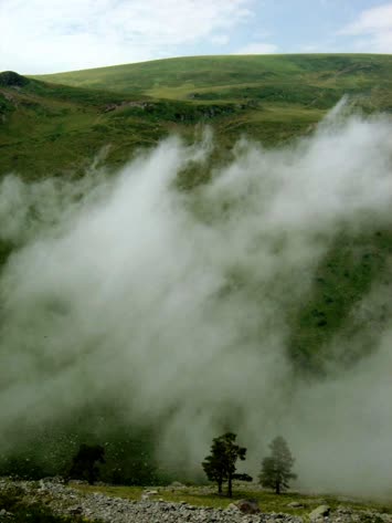 Saxara