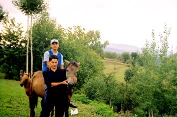 Özbay Işık