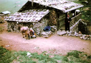 sules yaylasi