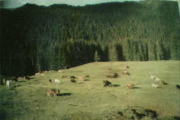akdamla yaylasi