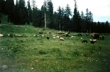 Kireçli Köyü