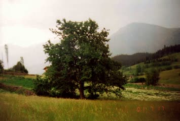 Şavket