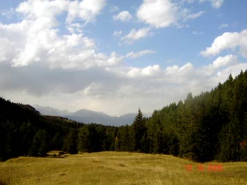 Çavdarlı