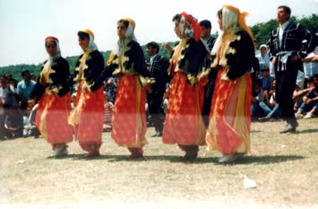 ARFOD ve İstanbul’da İlk Pancarcı Festivalleri