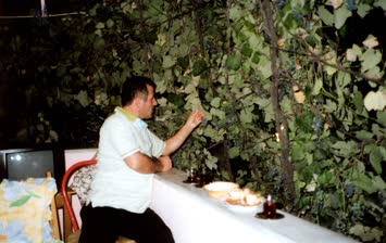   Kerim ağabeyin  çatıdaki Adesa üzümleri
