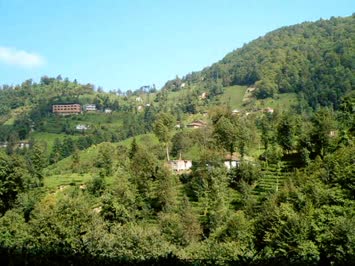 Özcan Köse