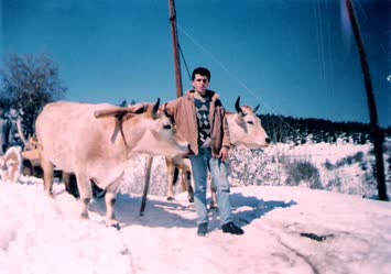 Sirt/Erkan Özcan