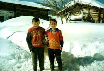 Şavket