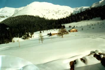 Şavket
