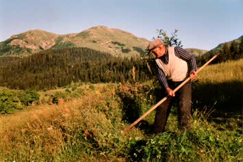 Şavket