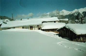 Şavket