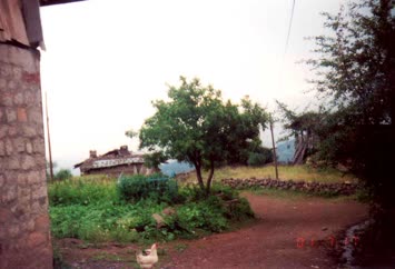 Şavket