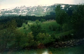 Şavket