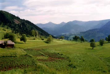 Şavket