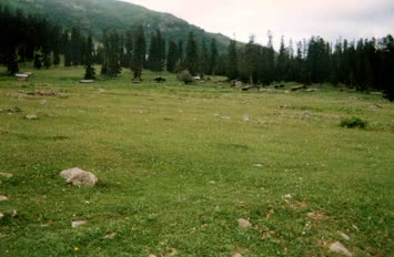 Şavket