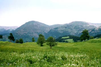 Şavket