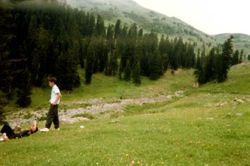 Şavket