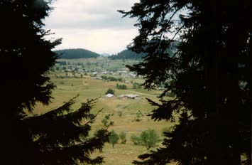 Şavket