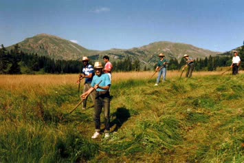 Şavket