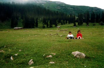 Şavket