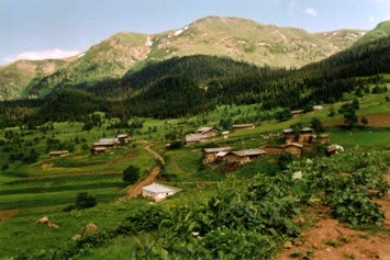 Şavket