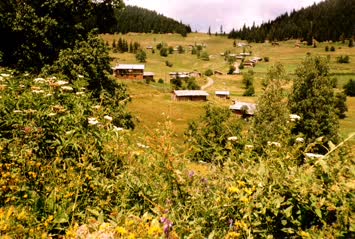 Şavket