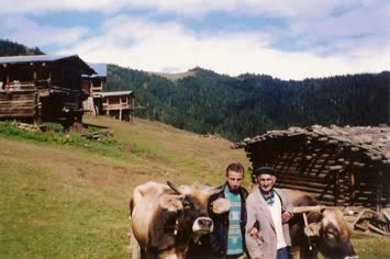 Yayla