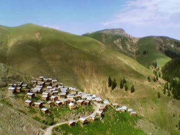 Cihan Avcı