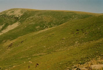 Süles yaylası