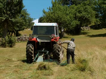 Çayır biçerken 2005