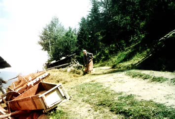 ŞAVŞAT KÖY MANZARALARI
