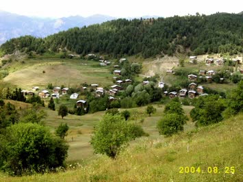Çiğdem Aydin
